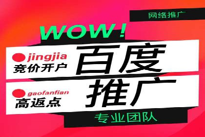 某电商平台的SEM运营实战与效果分析